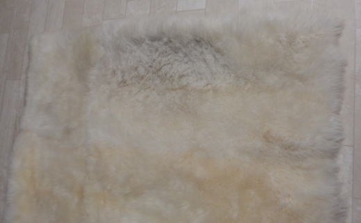 sheepskin before area rug cleaning